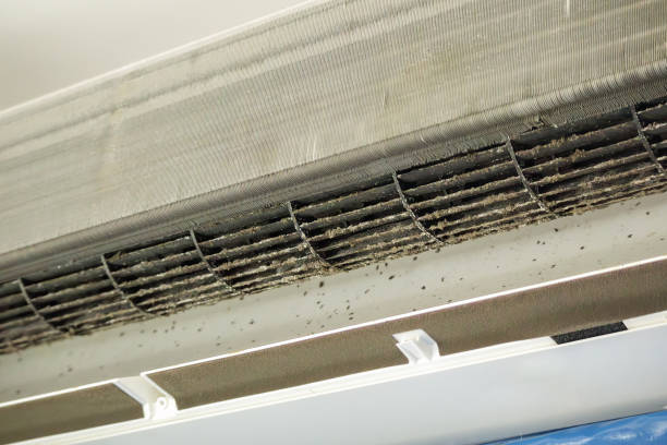 Best Dryer Vent Cleaning Services  in Pierre Part, LA